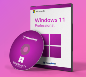 A sleek digital representation of an official Windows 11 Professional Key glowing on a slate grey background.